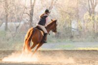 How to Canter a Horse: Step-By-Step Guide, Mechanics & Challenges