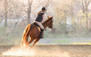 how-to-ride-a-canter