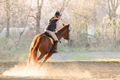 how-to-ride-a-canter