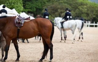 managing-nerves-at-a-horse-show