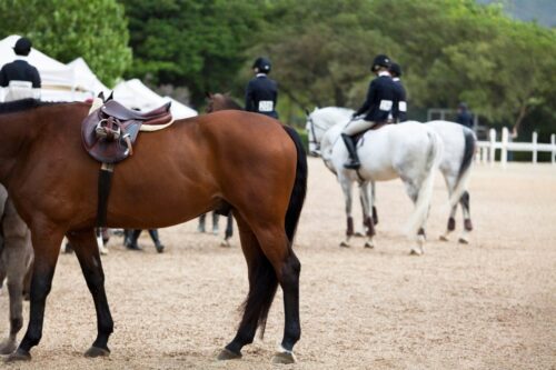 managing-nerves-at-a-horse-show