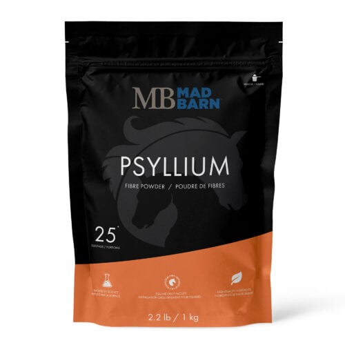 Psyllium Husk Powder - Fiber Supplement for Horses - Mad Barn Equine