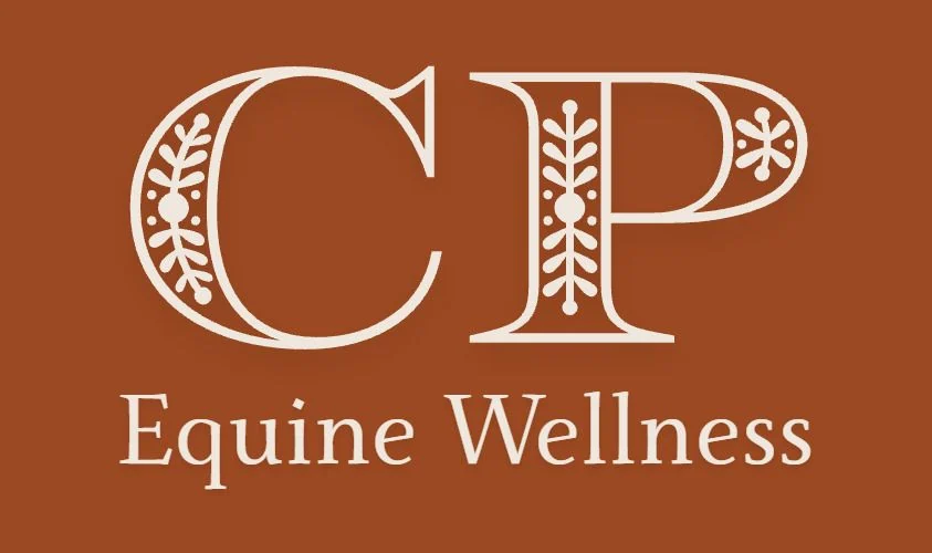 Candyce Pacione - Equine Bodywork