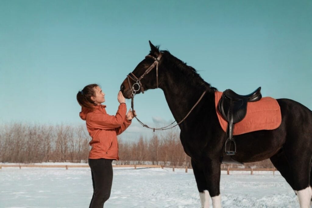 Top 6 Tips for Training Horses in Winter: Maintaining Off-Season Fitness
