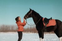 Top 6 Tips for Training Horses in Winter: Maintaining Off-Season Fitness