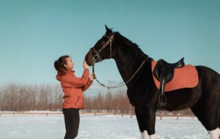 tips-to-keep-your-horse-fit-over-winter