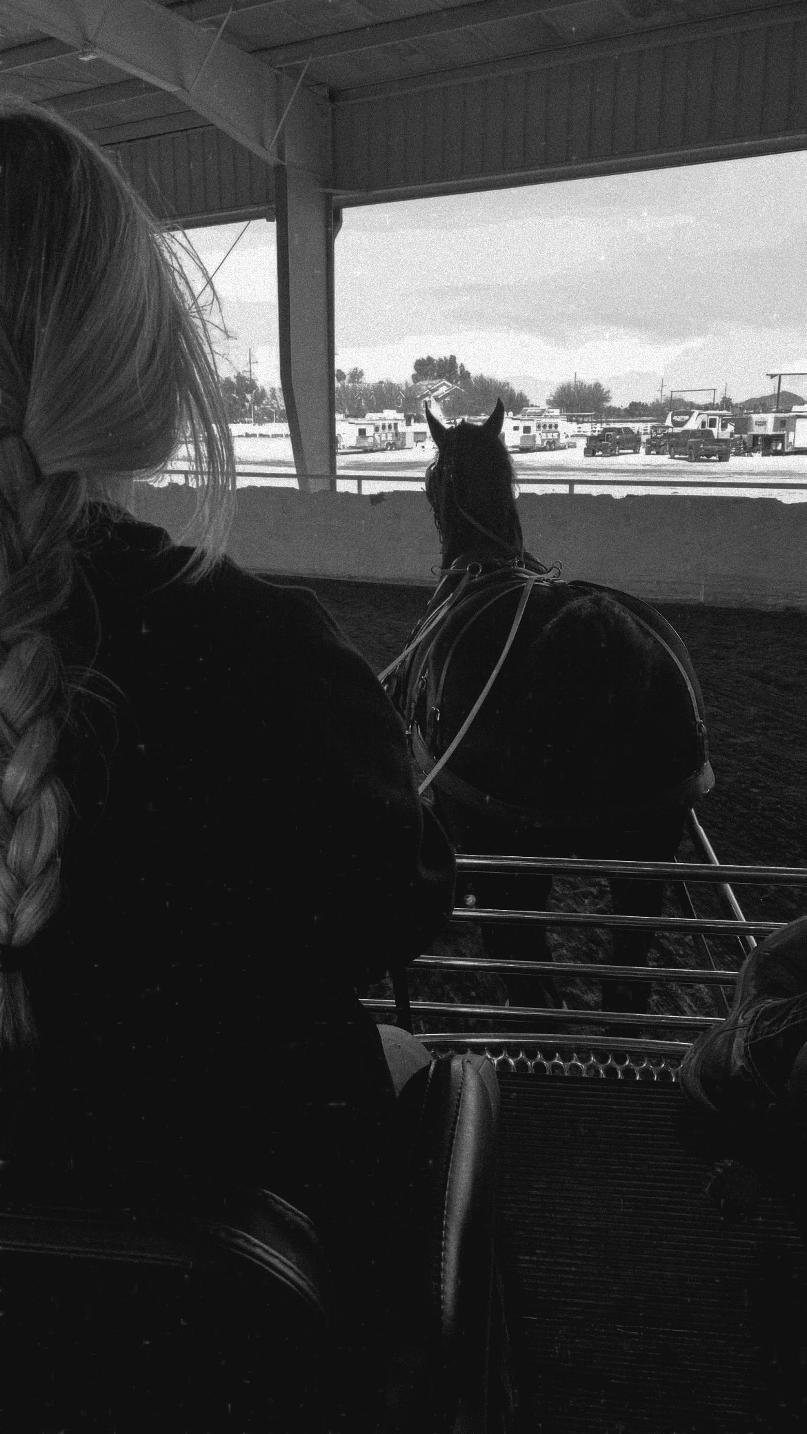 Danika Carlson - Equine Massage Therapist