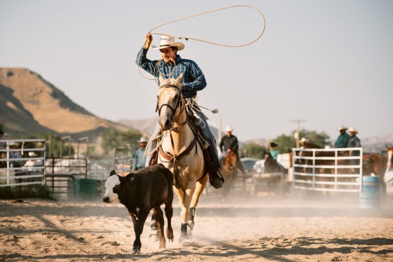Calf Roping Rodeo Sport Guide - Horse Disciplines - Breakaway and Tie-Down Roping