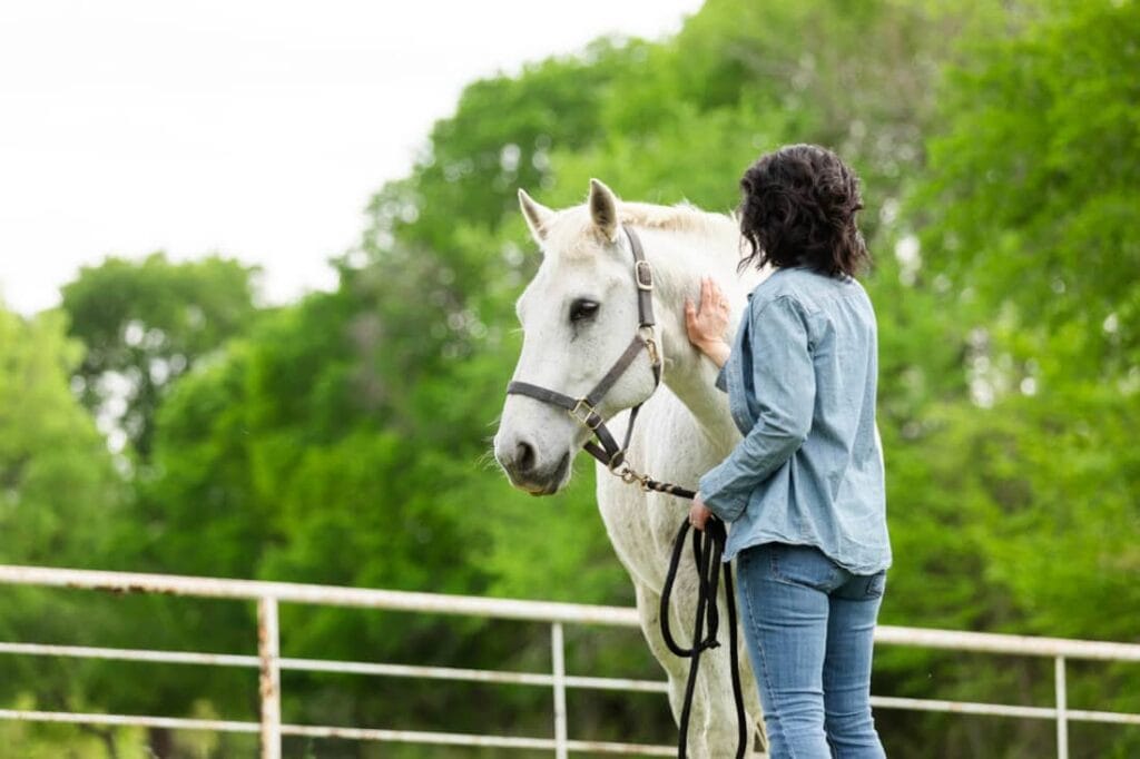 Catastrophic Limb Injuries in Horses: Types, Causes & Prognosis