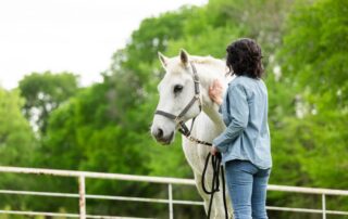 catastrophic-limb-injuries-in-horses