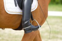 Spurs for Horses: Uses, Maintenance & Welfare Considerations