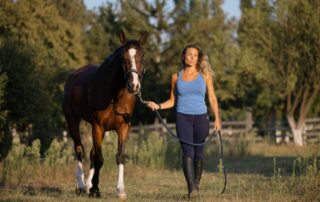 halter-training-horses