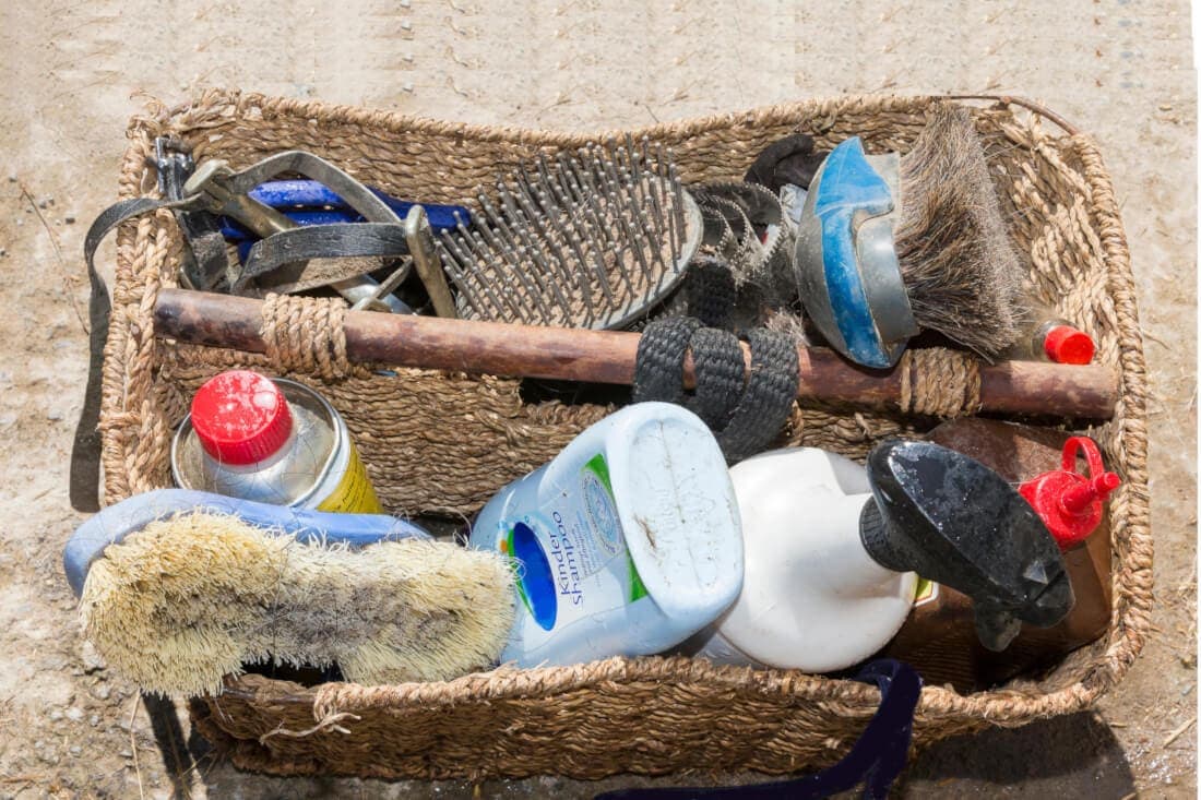 Horse Grooming Kit Essentials: Basic Tools for Daily Care