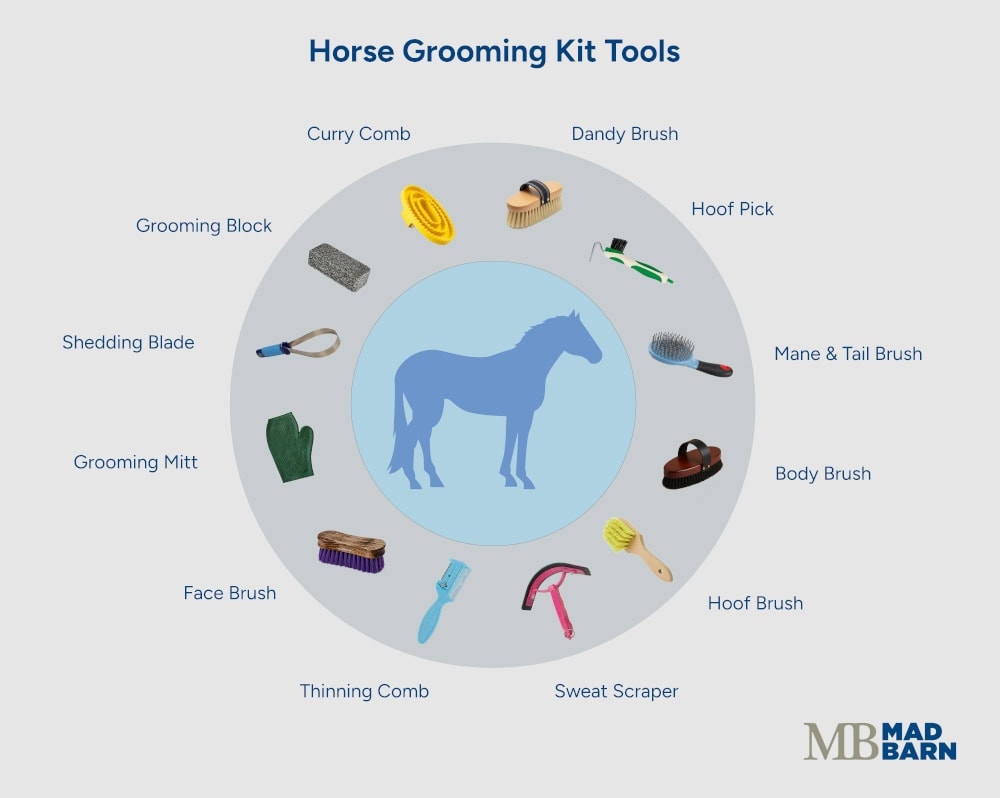 complete list of horse grooming kit tools