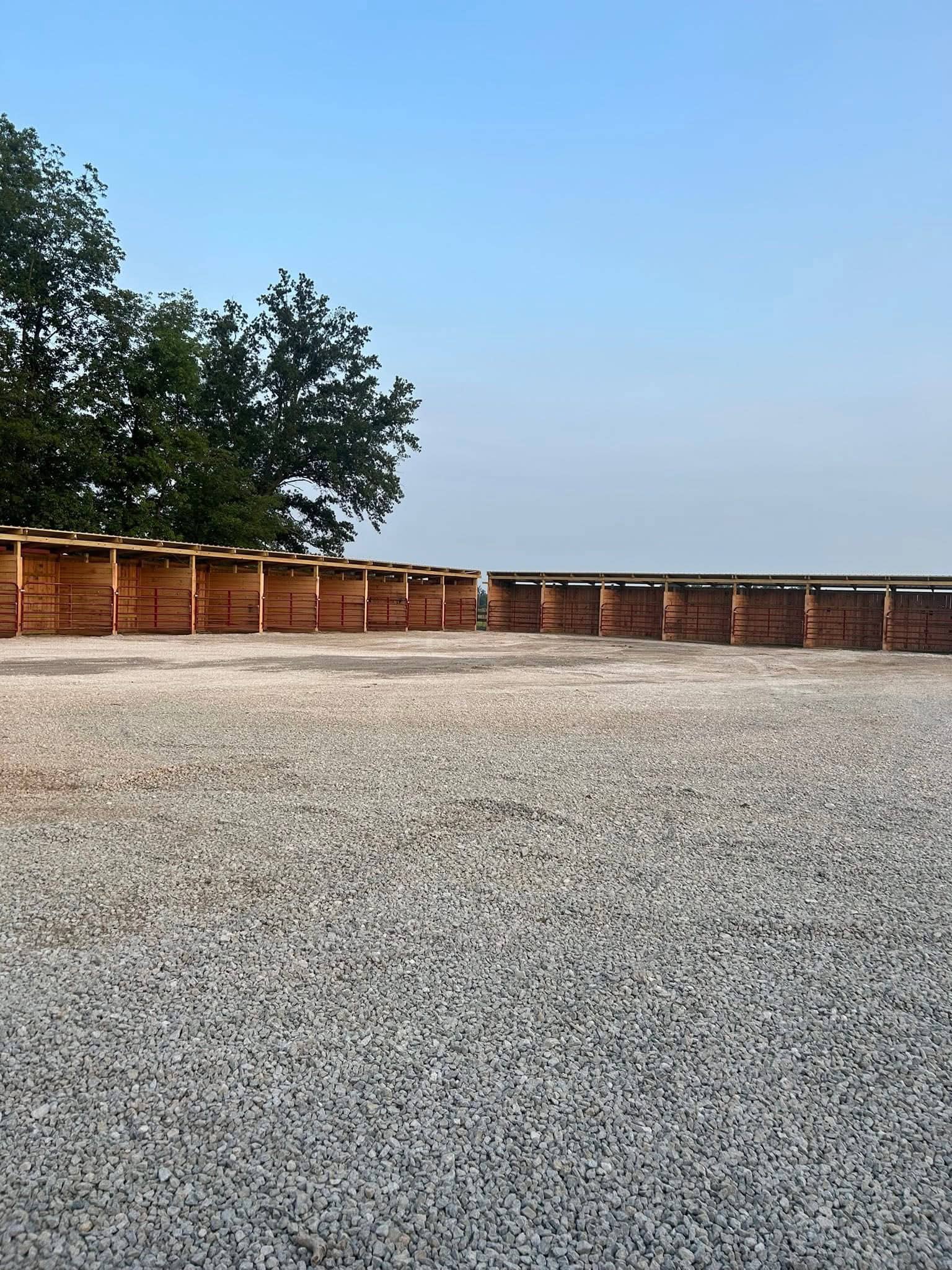 Jade Webb - Boarding Stable