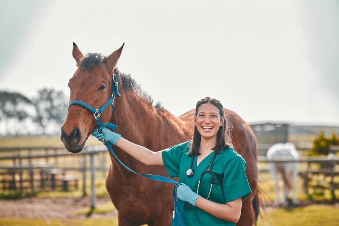 Most Common Allergies in Horses: Signs, Types & Management