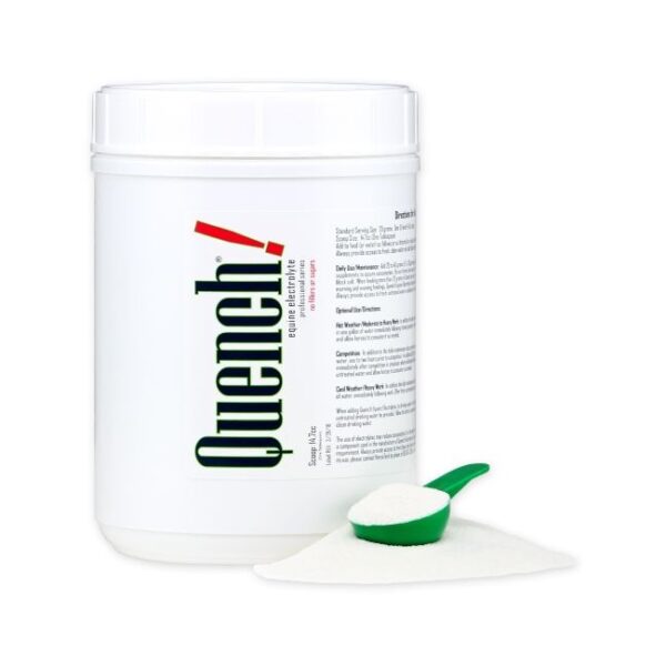 Quench Electrolyte (HorseTech)
