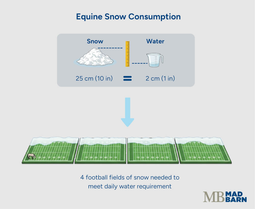 image illustrating why snow consumption is not sufficient water intake for horses