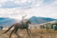 Calf Roping in Rodeo: Rules of Tie-Down vs. Breakaway Roping – [Discipline Guide]