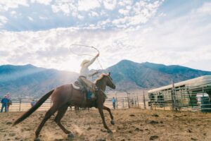 Calf Roping in Rodeo: Rules of Tie-Down vs. Breakaway Roping – [Discipline Guide]