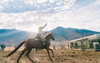 tie-down-roping-discipline-guide