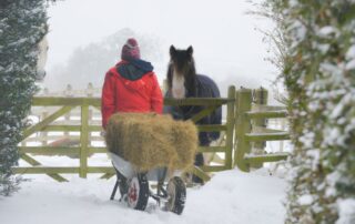 winter-turnout-safety-guide