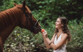 Apple Horse Treats Recipe