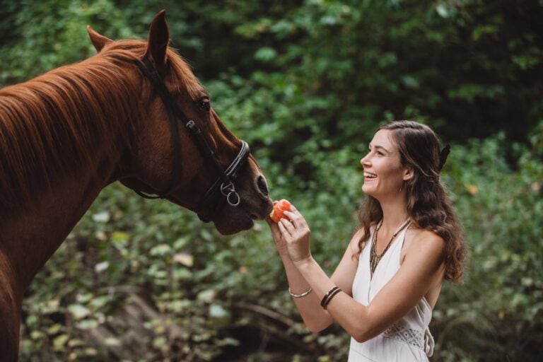 Apple Horse Treats Recipe
