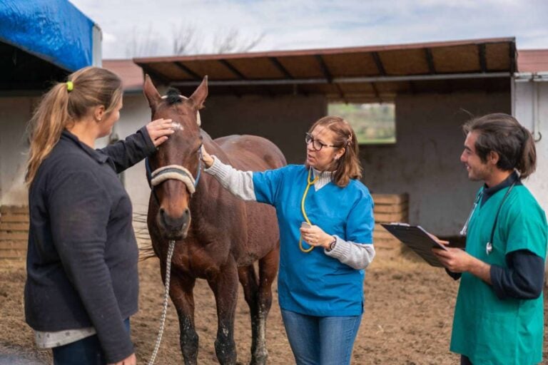 autoimmune-disease-in-horses