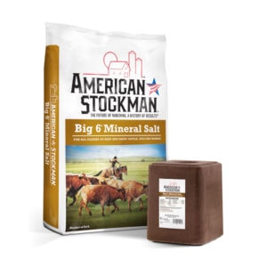 Big 6 Mineral Salt (American Stockman)