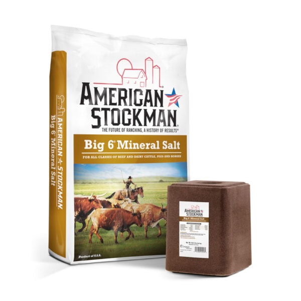 Big 6 Mineral Salt (American Stockman)