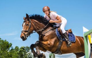 choose-the-right-jumping-saddle