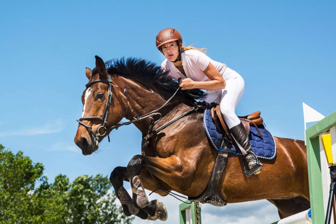 Choosing the Right Jumping Saddle: Considerations for Horse & Rider