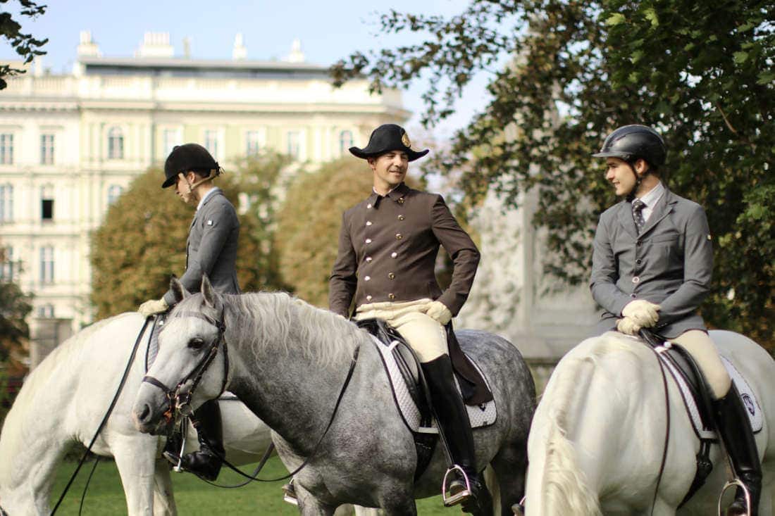 Classical Dressage: History, Principles & Training Methods