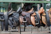 Complete Guide to Horse Saddles: Types, Fit & How to Choose