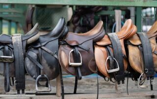 complete-guide-to-horse-saddles