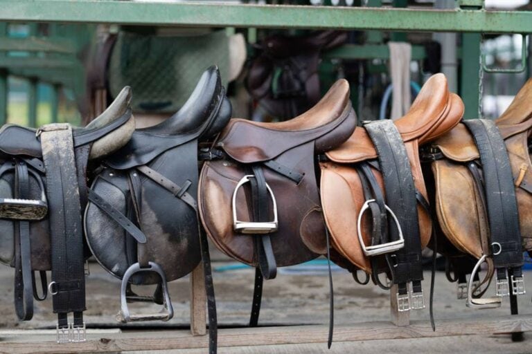 complete-guide-to-horse-saddles