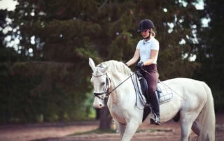 dressage-pyramid