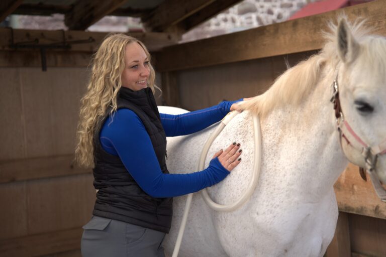 Anna Gezon Equine Massage LLC