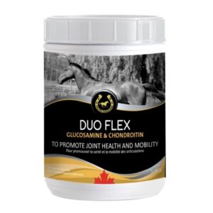 Duo-Flex (Golden Horseshoe)