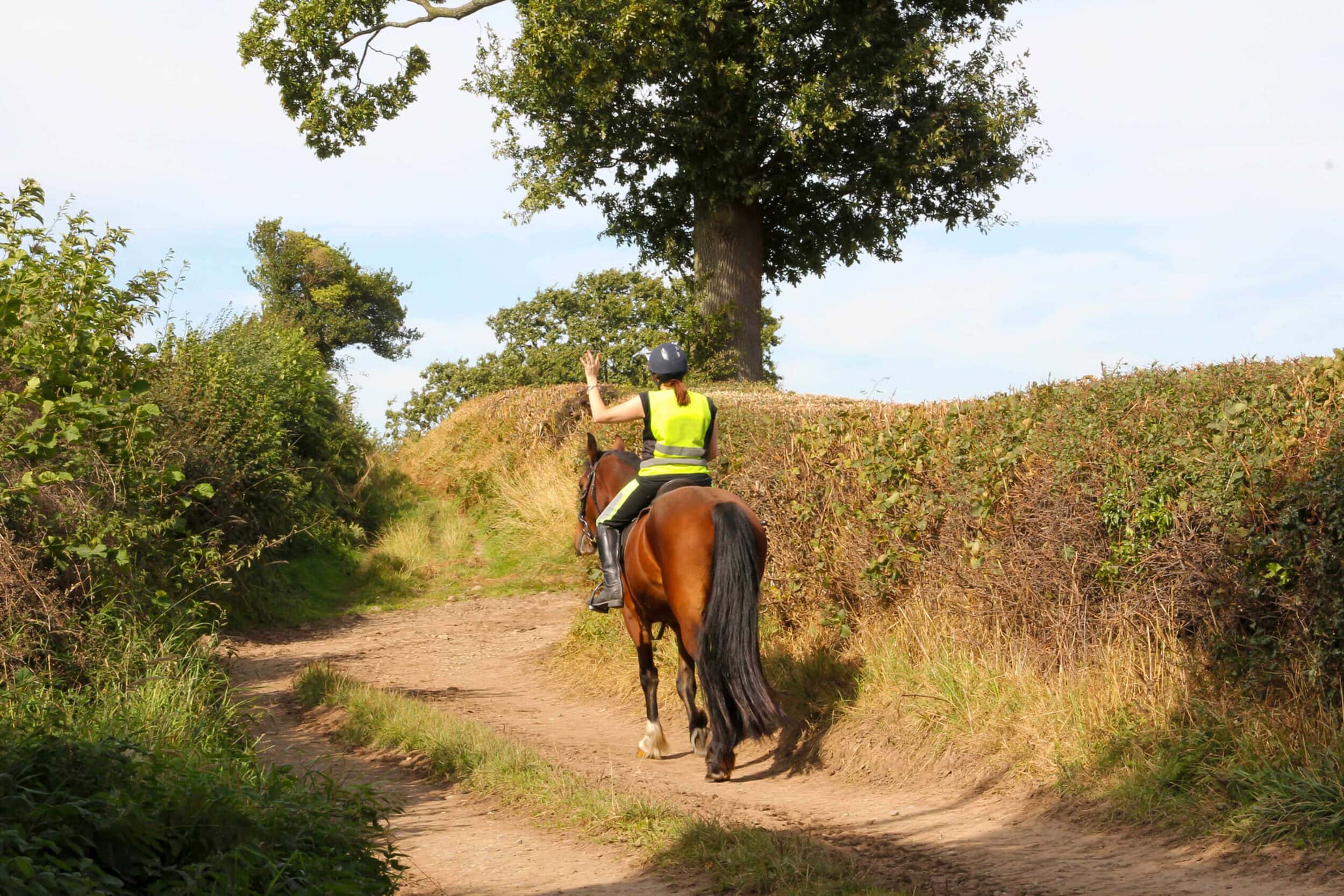 endurance riding image