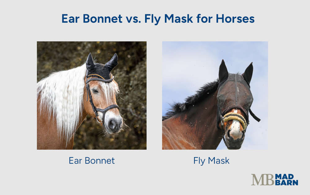 comparison of fly mask vs. ear bonnet for horses