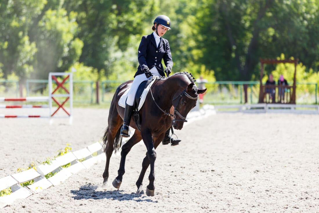 English Riding Disciplines List: Types of Horseback Riding Competitions