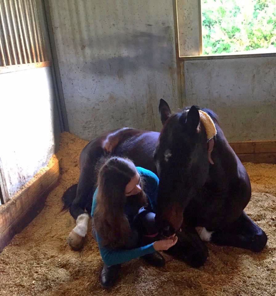 Vanessa Navarro - Equine Veterinarian