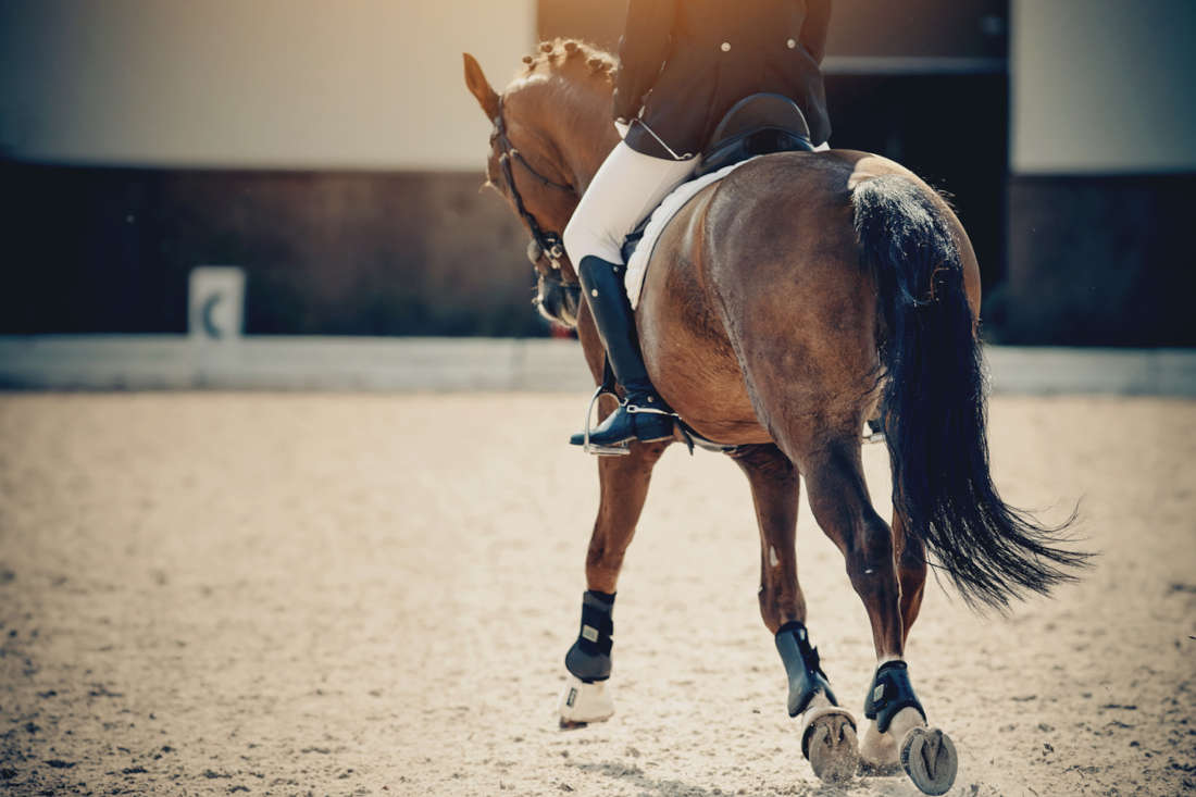 Dressage Freestyle: Guide to Competition Format, Scoring & Rules