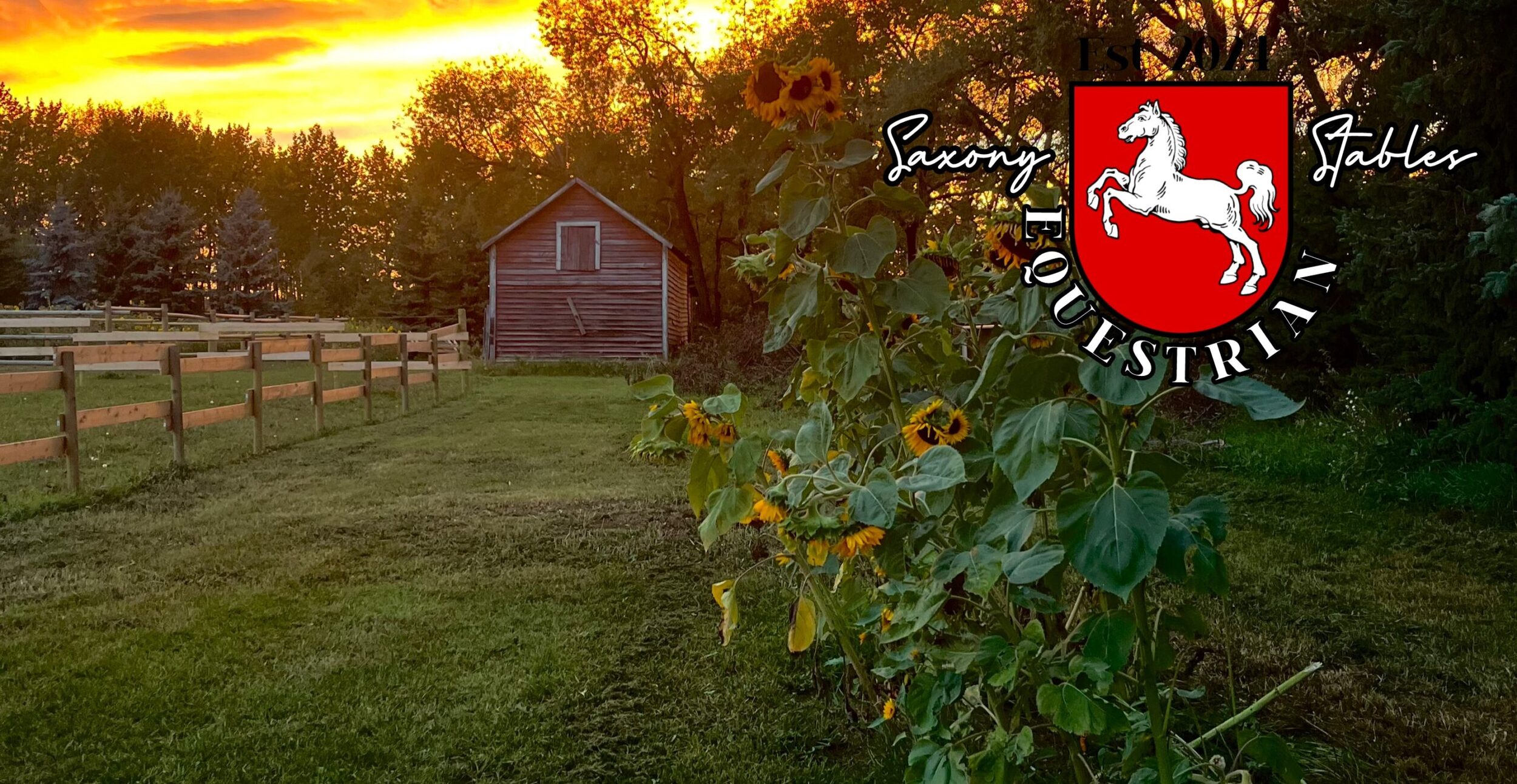 Saxony Stables - Boarding Stable