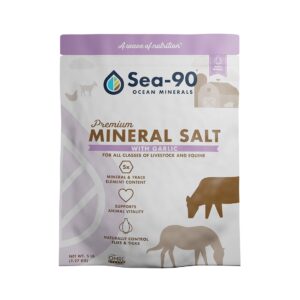 Premium Mineral Salt with Garlic (Sea-90 Ocean Minerals)