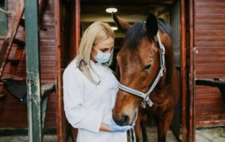 rhinopneumonitis-in-horses