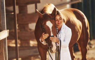 sedation-vs-anesthesia