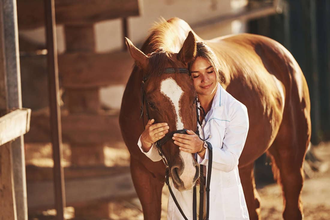 Standing Sedation vs. General Anesthesia in Horses: Uses, Risks & Key Differences